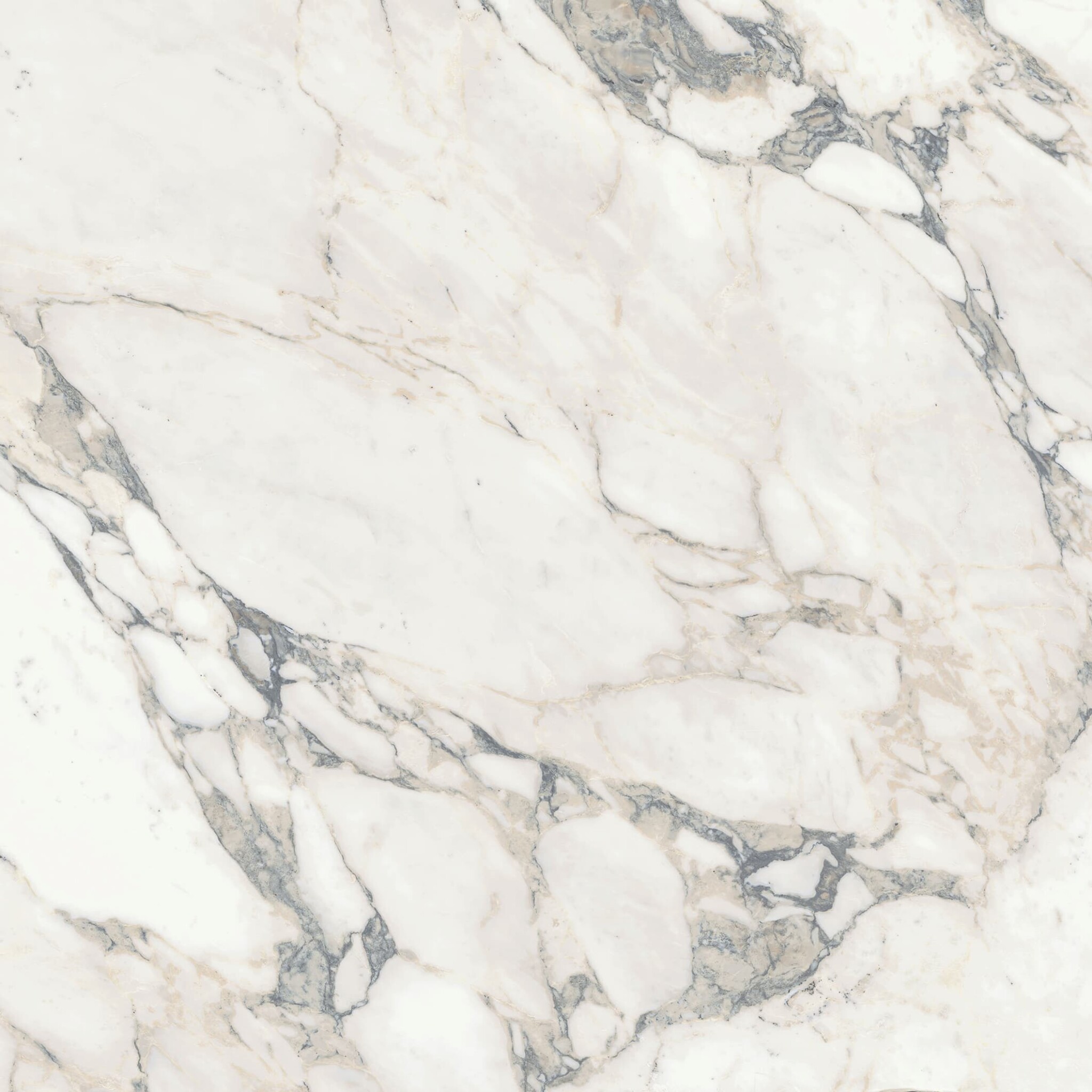 Arabescato / CESANXX