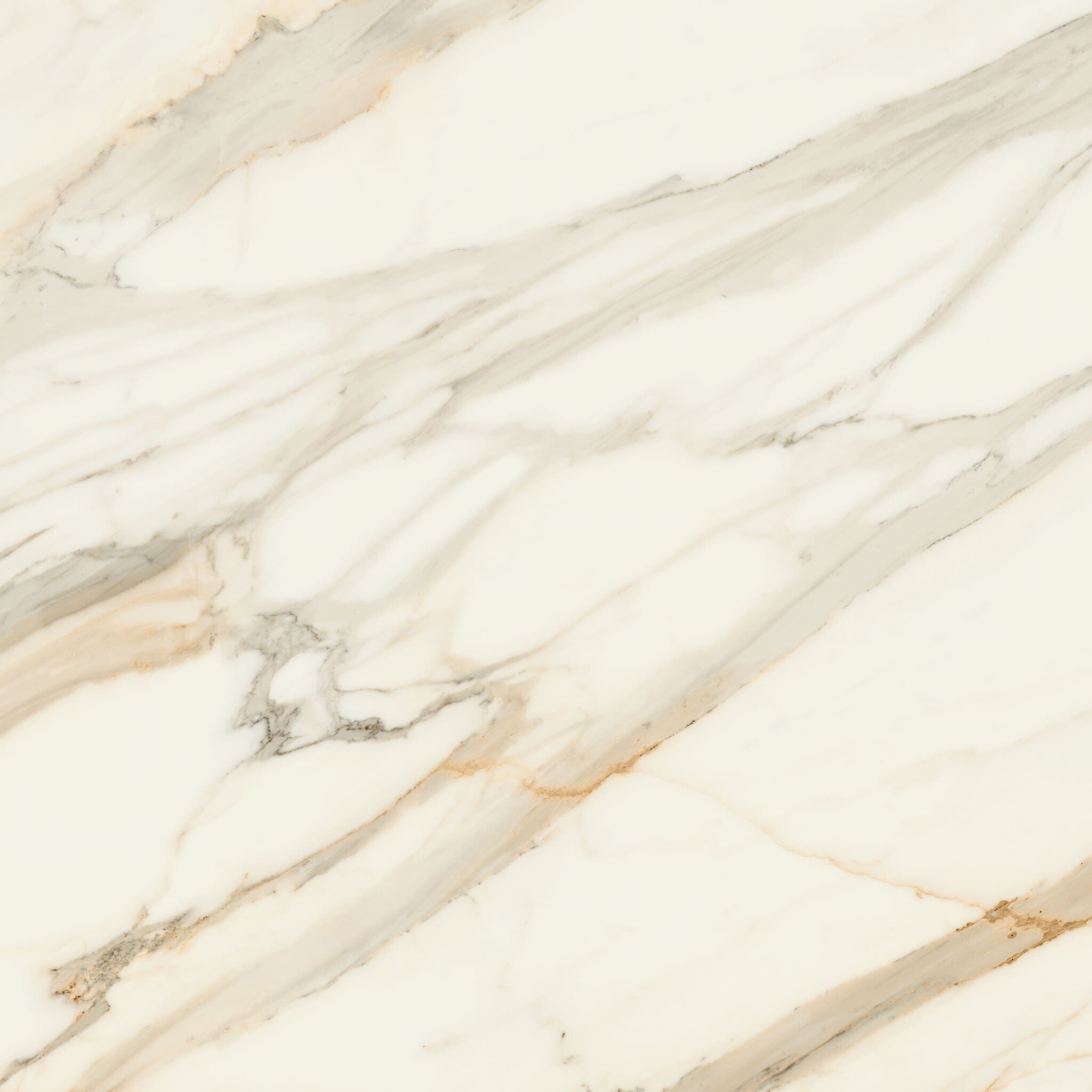 Calacatta Aureo 4D / CESCACXX