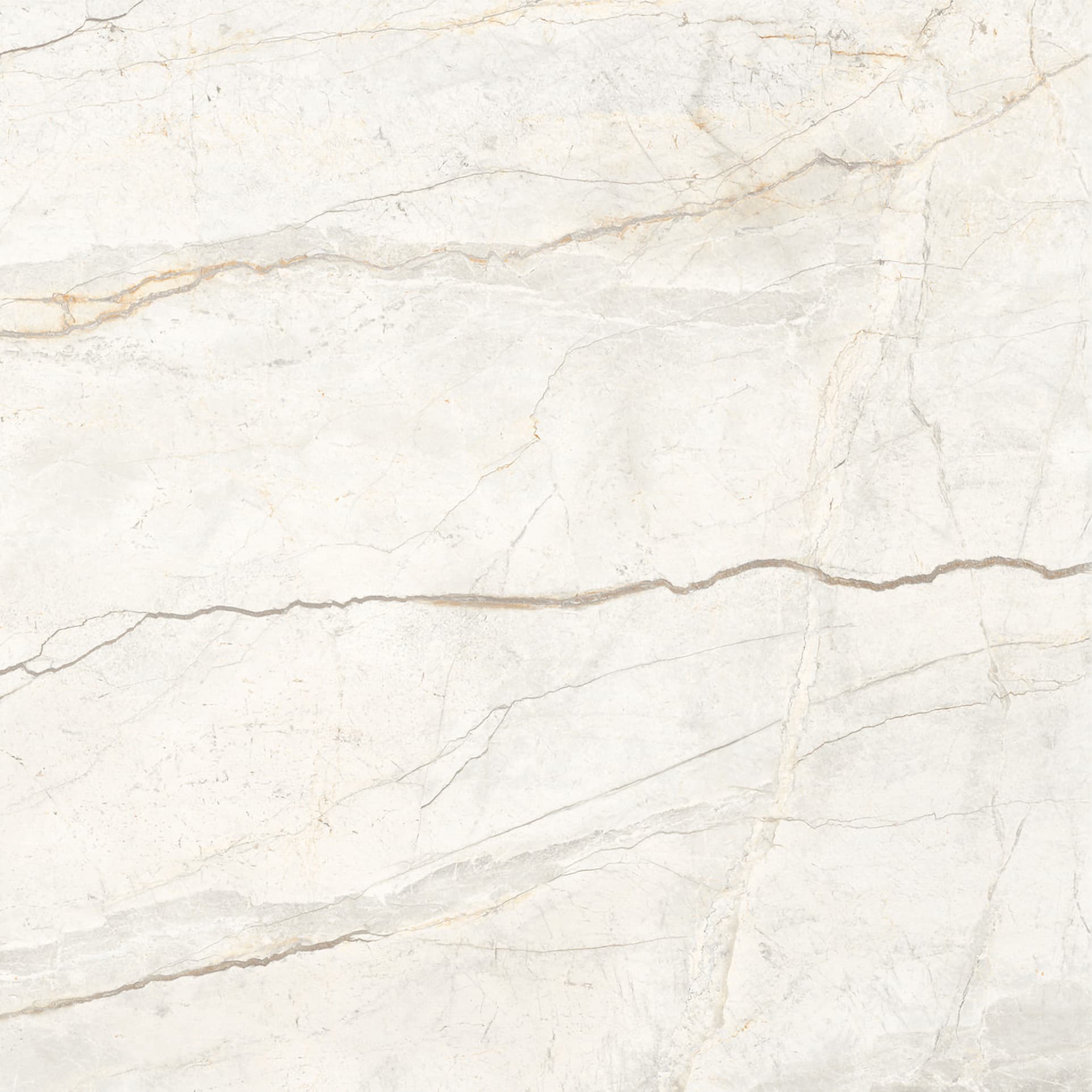 White Silver Root / KWSRXX