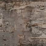 Trilium - Matte / DTXX