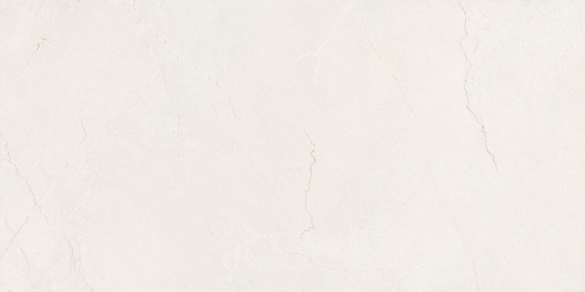 White Silver Root / KWSRXX