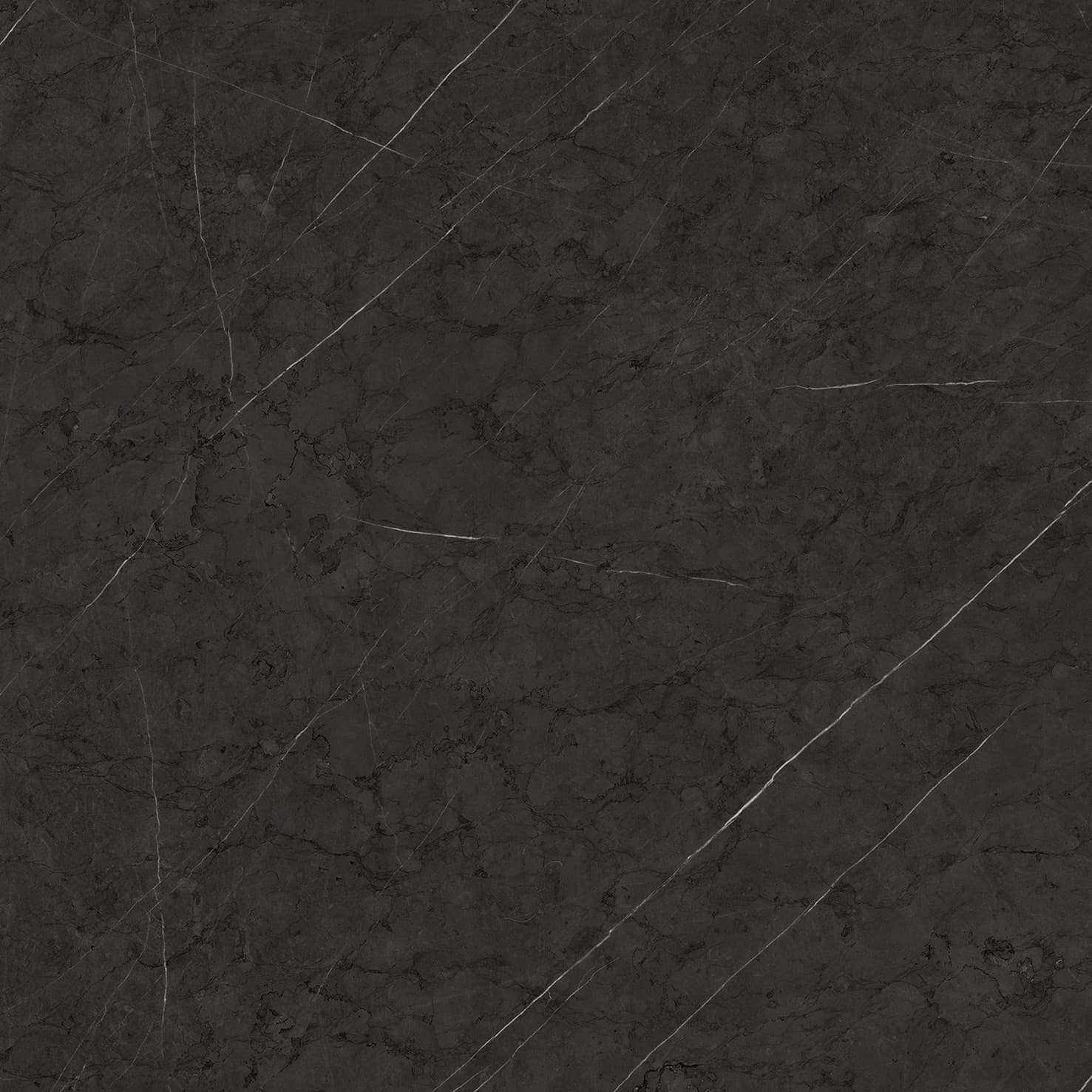 Sophisticated Gray Rock / SC 4878 VL