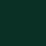 Conifer / 4174
