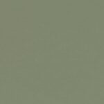Olive / 4184