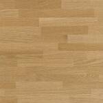 Eg – Natur / MFSCEXX