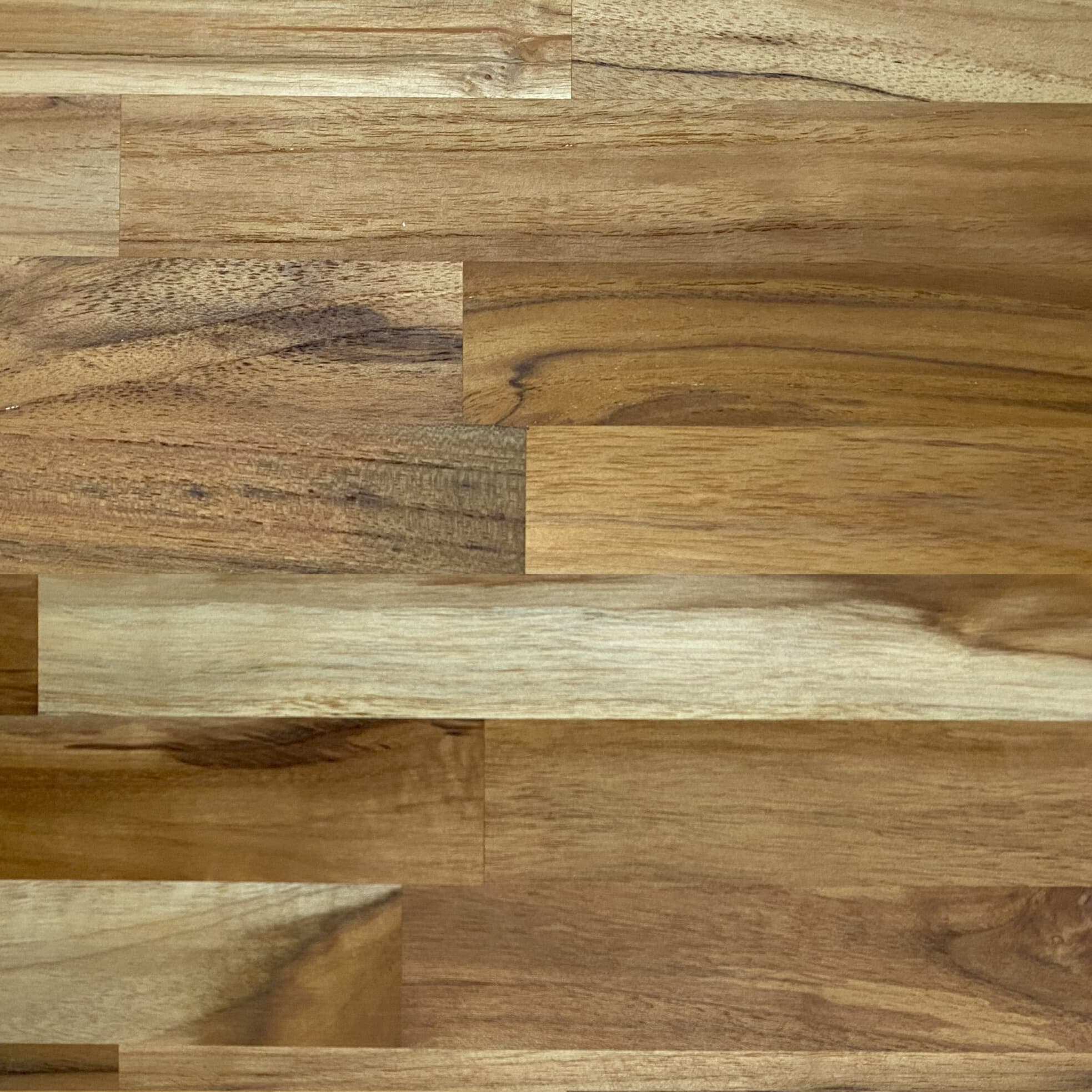 Teak – Natur / MFSCTXX
